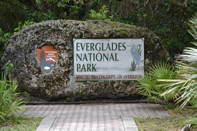 1 les everglades