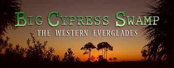 18 big cypress swamp