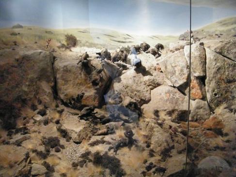 Head smashed in buffalo jump diorama claresholm